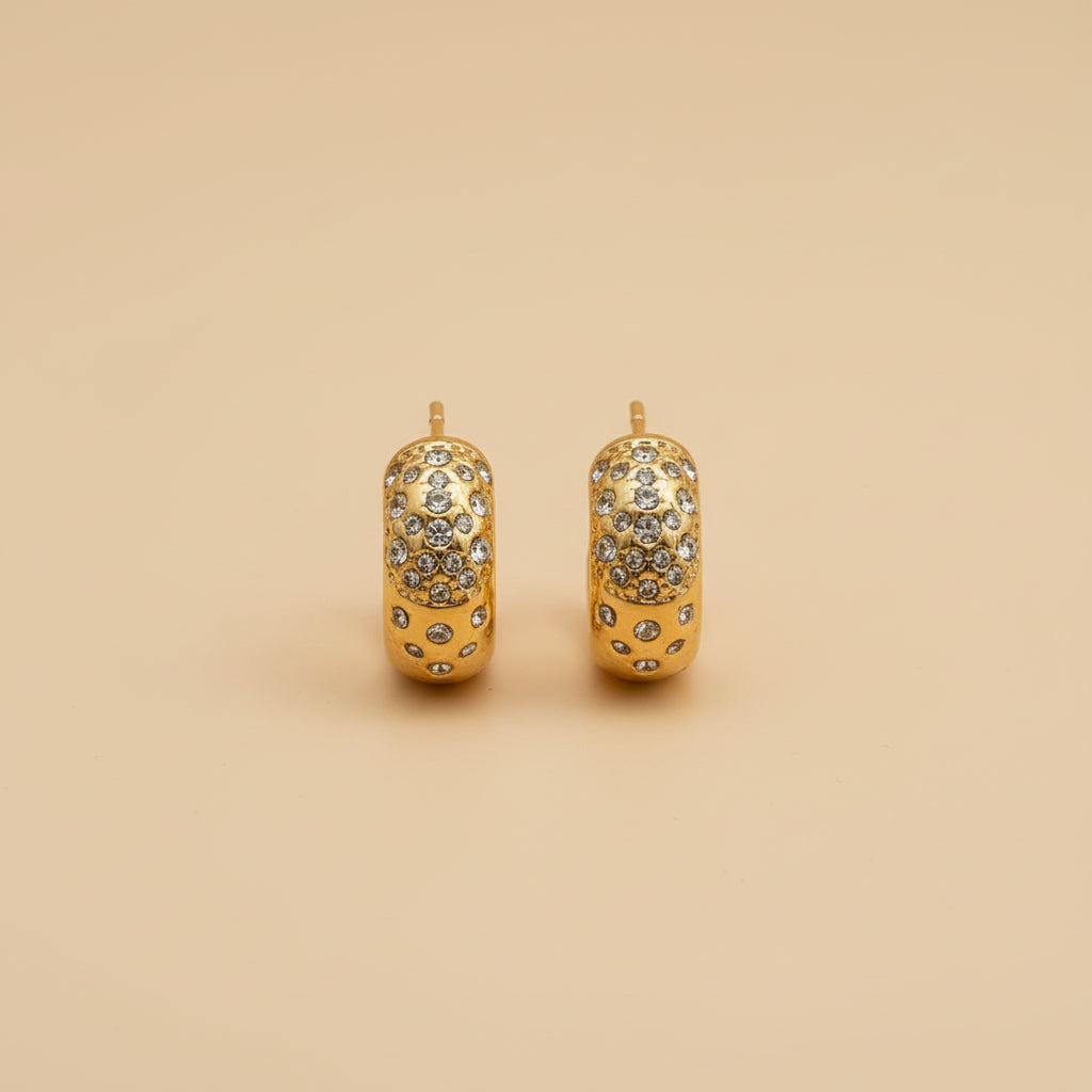 Luxe Sparkle Hoop Earrings